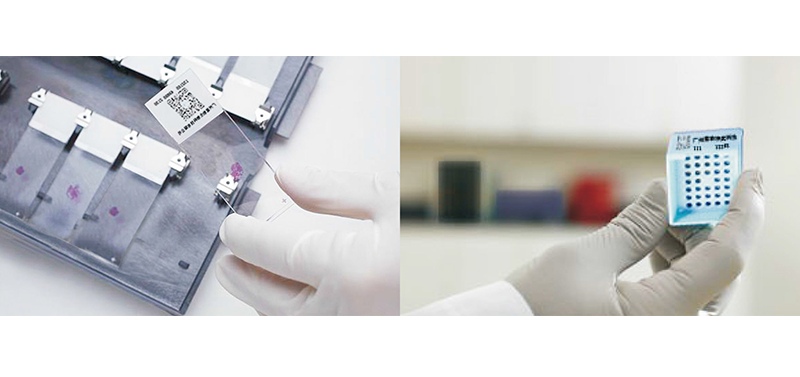 首页-人生就是博手机版