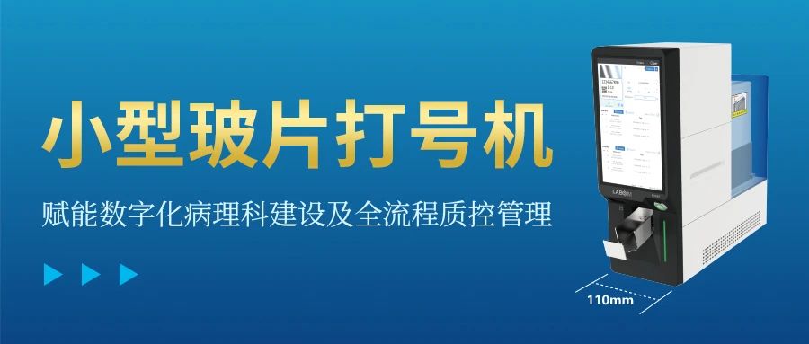 首页-人生就是博手机版