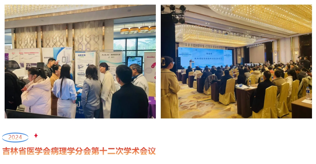 首页-人生就是博手机版