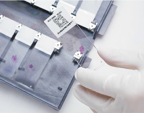 首页-人生就是博手机版